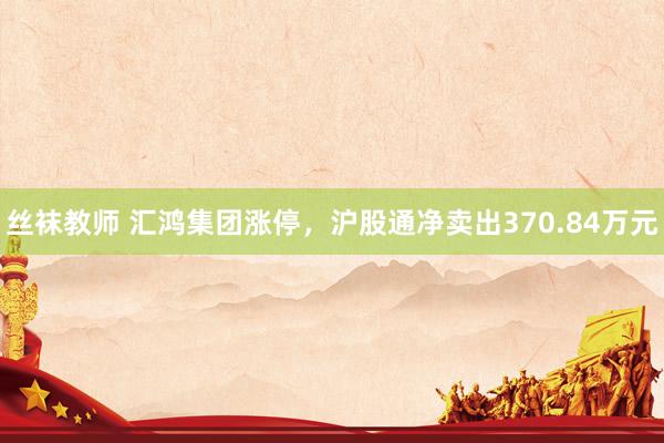 丝袜教师 汇鸿集团涨停，沪股通净卖出370.84万元