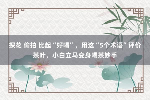 探花 偷拍 比起“好喝”，用这“5个术语”评价茶叶，小白立马变身喝茶妙手