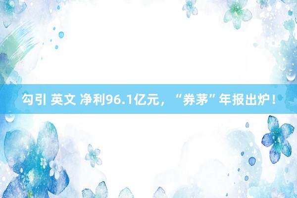 勾引 英文 净利96.1亿元，“券茅”年报出炉！