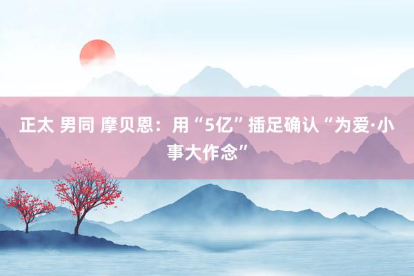 正太 男同 摩贝恩：用“5亿”插足确认“为爱·小事大作念”