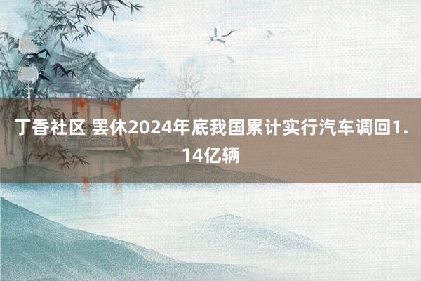 丁香社区 罢休2024年底我国累计实行汽车调回1.14亿辆