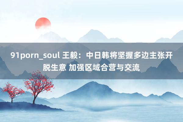 91porn_soul 王毅：中日韩将坚握多边主张开脱生意 加强区域合营与交流