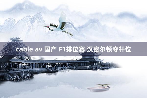 cable av 国产 F1排位赛 汉密尔顿夺杆位