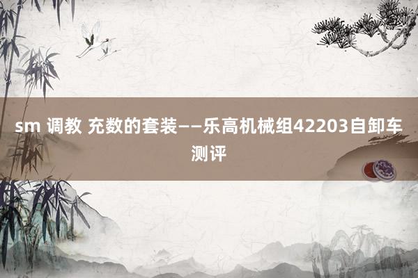 sm 调教 充数的套装——乐高机械组42203自卸车测评
