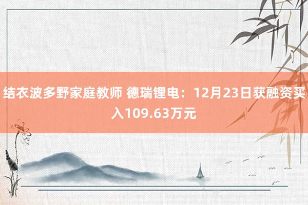 结衣波多野家庭教师 德瑞锂电：12月23日获融资买入109.63万元