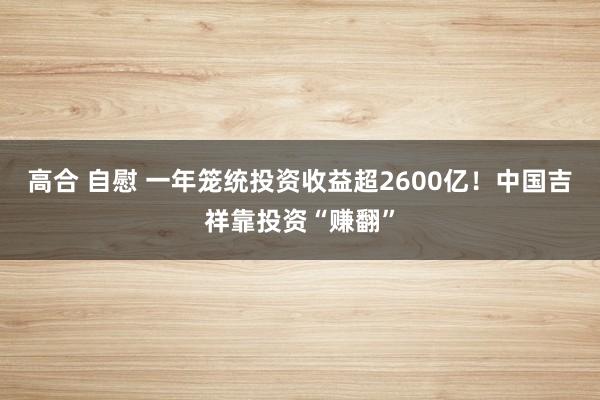 高合 自慰 一年笼统投资收益超2600亿！中国吉祥靠投资“赚翻”