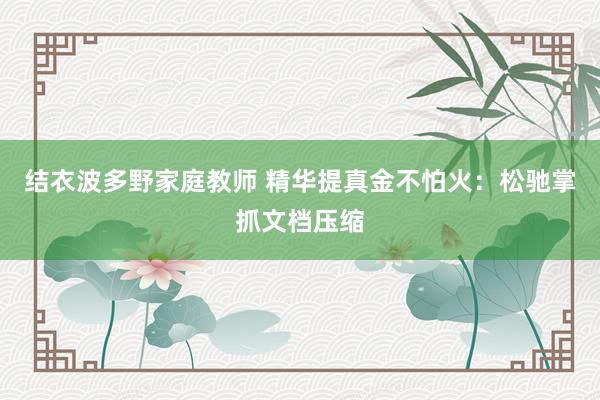 结衣波多野家庭教师 精华提真金不怕火：松驰掌抓文档压缩