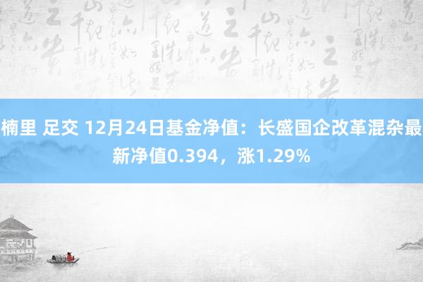楠里 足交 12月24日基金净值：长盛国企改革混杂最新净值0.394，涨1.29%