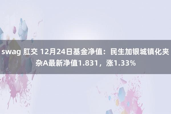 swag 肛交 12月24日基金净值：民生加银城镇化夹杂A最新净值1.831，涨1.33%