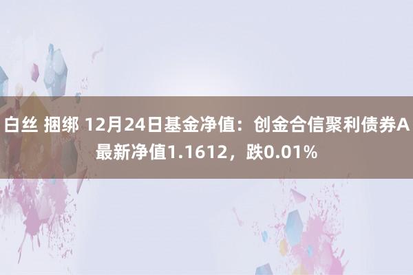 白丝 捆绑 12月24日基金净值：创金合信聚利债券A最新净值1.1612，跌0.01%
