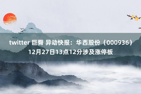 twitter 巨臀 异动快报：华西股份（000936）12月27日13点12分涉及涨停板