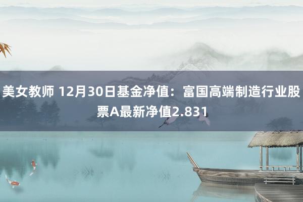 美女教师 12月30日基金净值：富国高端制造行业股票A最新净值2.831