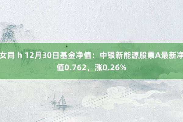 女同 h 12月30日基金净值：中银新能源股票A最新净值0.762，涨0.26%