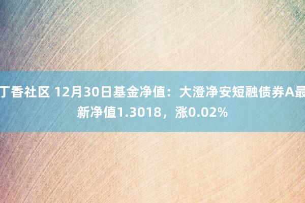 丁香社区 12月30日基金净值：大澄净安短融债券A最新净值1.3018，涨0.02%