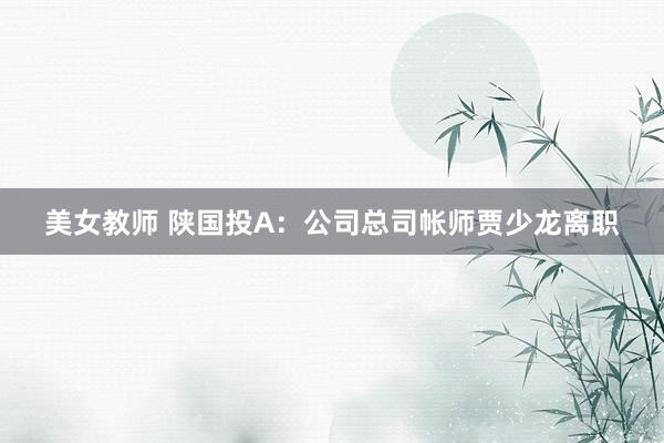 美女教师 陕国投A：公司总司帐师贾少龙离职