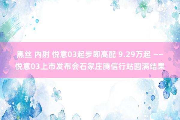 黑丝 内射 悦意03起步即高配 9.29万起 ——悦意03上市发布会石家庄腾信行站圆满结果