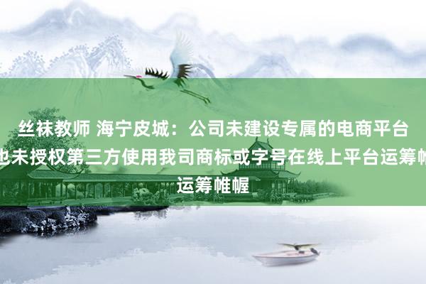 丝袜教师 海宁皮城：公司未建设专属的电商平台，也未授权第三方使用我司商标或字号在线上平台运筹帷幄