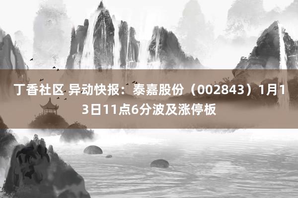 丁香社区 异动快报：泰嘉股份（002843）1月13日11点6分波及涨停板