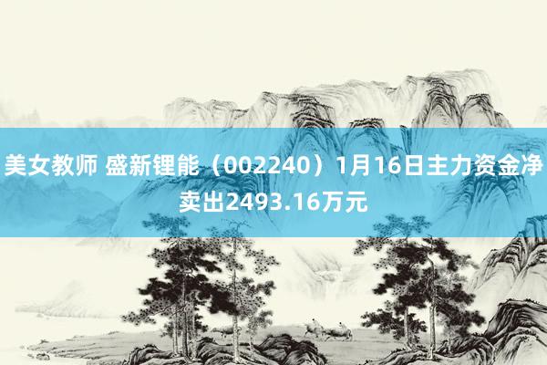 美女教师 盛新锂能（002240）1月16日主力资金净卖出2493.16万元