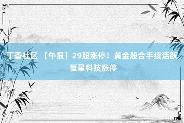 丁香社区 【午报】29股涨停！黄金股合手续活跃 恒星科技涨停
