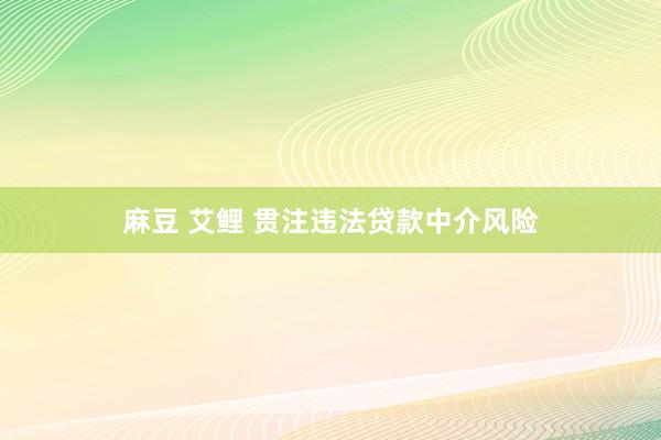 麻豆 艾鲤 贯注违法贷款中介风险