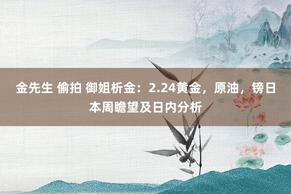 金先生 偷拍 御姐析金：2.24黄金，原油，镑日本周瞻望及日内分析