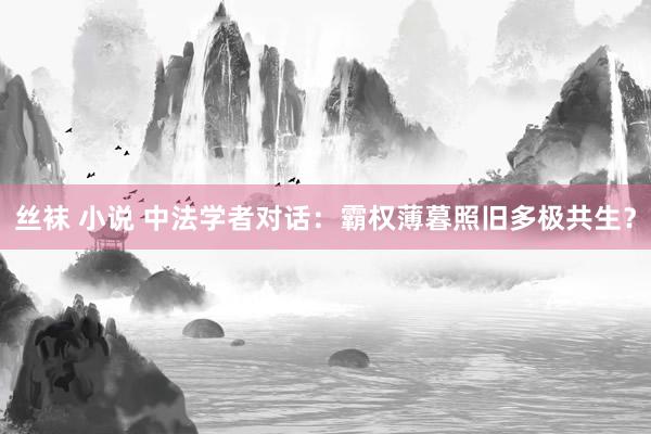 丝袜 小说 中法学者对话：霸权薄暮照旧多极共生？