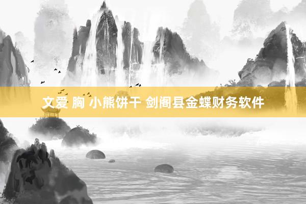 文爱 胸 小熊饼干 剑阁县金蝶财务软件