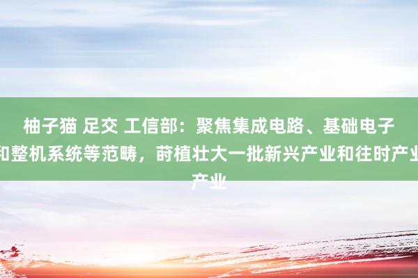 柚子猫 足交 工信部：聚焦集成电路、基础电子和整机系统等范畴，莳植壮大一批新兴产业和往时产业