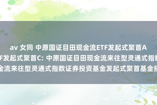 av 女同 中原国证目田现金流ETF发起式聚首A,中原国证目田现金流ETF发起式聚首C: 中原国证目田现金流来往型灵通式指数证券投资基金发起式聚首基金招募说明书