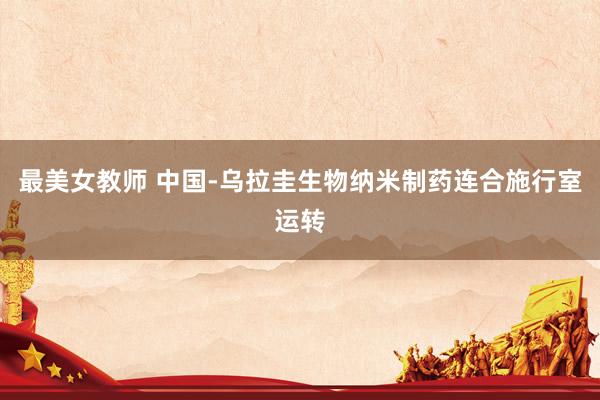 最美女教师 中国-乌拉圭生物纳米制药连合施行室运转