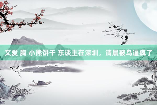 文爱 胸 小熊饼干 东谈主在深圳，清晨被鸟逼疯了