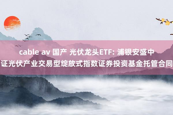 cable av 国产 光伏龙头ETF: 浦银安盛中证光伏产业交易型绽放式指数证券投资基金托管合同