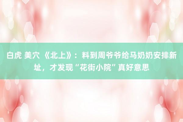 白虎 美穴 《北上》：料到周爷爷给马奶奶安排新址，才发现“花街小院”真好意思