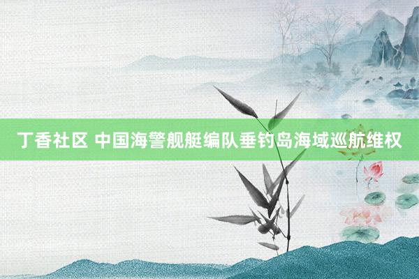 丁香社区 中国海警舰艇编队垂钓岛海域巡航维权