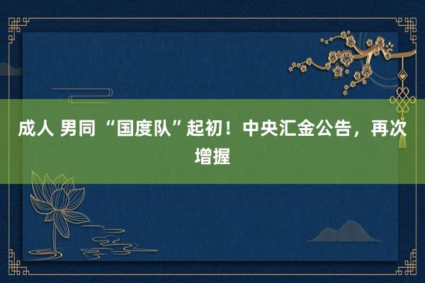 成人 男同 “国度队”起初！中央汇金公告，再次增握