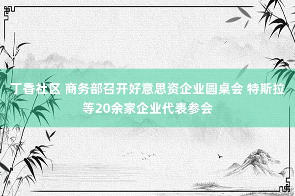 丁香社区 商务部召开好意思资企业圆桌会 特斯拉等20余家企业代表参会
