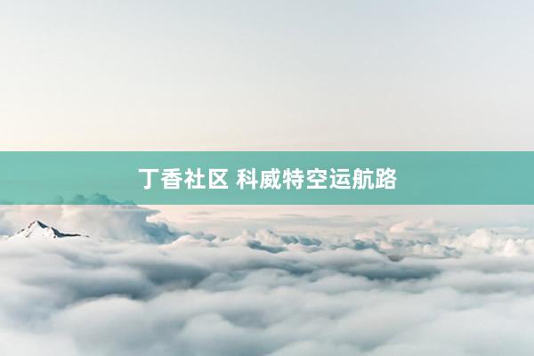 丁香社区 科威特空运航路
