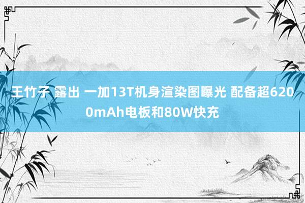 王竹子 露出 一加13T机身渲染图曝光 配备超6200mAh电板和80W快充