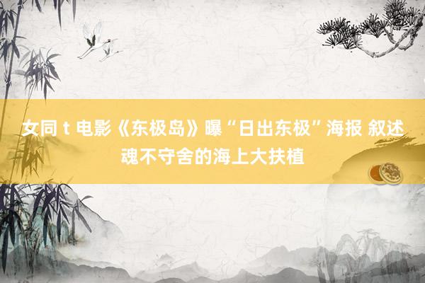 女同 t 电影《东极岛》曝“日出东极”海报 叙述魂不守舍的海上大扶植