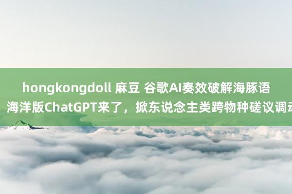 hongkongdoll 麻豆 谷歌AI奏效破解海豚语，海洋版ChatGPT来了，掀东说念主类跨物种磋议调动